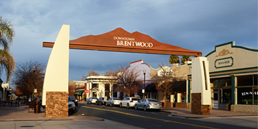 Brentwood | Sopa harley 